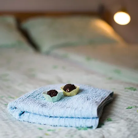 Tolle In Zasip Mit Parkplatz By Interhome Блед