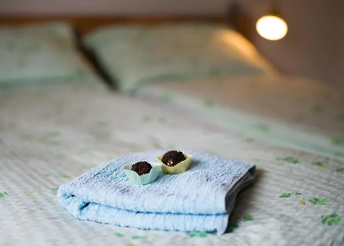 Tolle In Zasip Mit Parkplatz By Interhome Bled