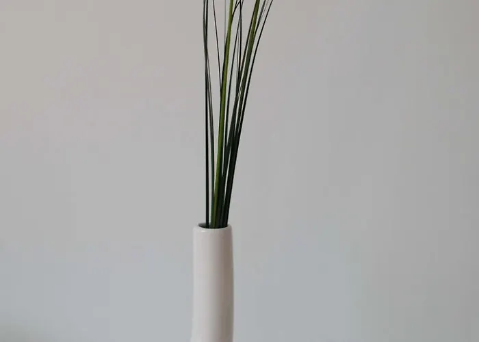 Tolle In Zasip Mit Parkplatz By Interhome