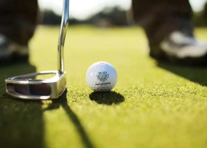 Tolle In Zasip Mit Parkplatz By Interhome