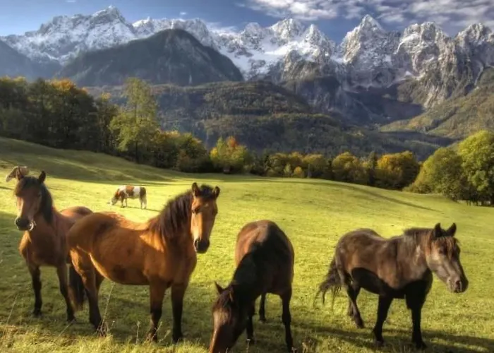 Tolle In Zasip Mit Parkplatz By Interhome